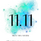 11.11 | Trust the universe | 30cl